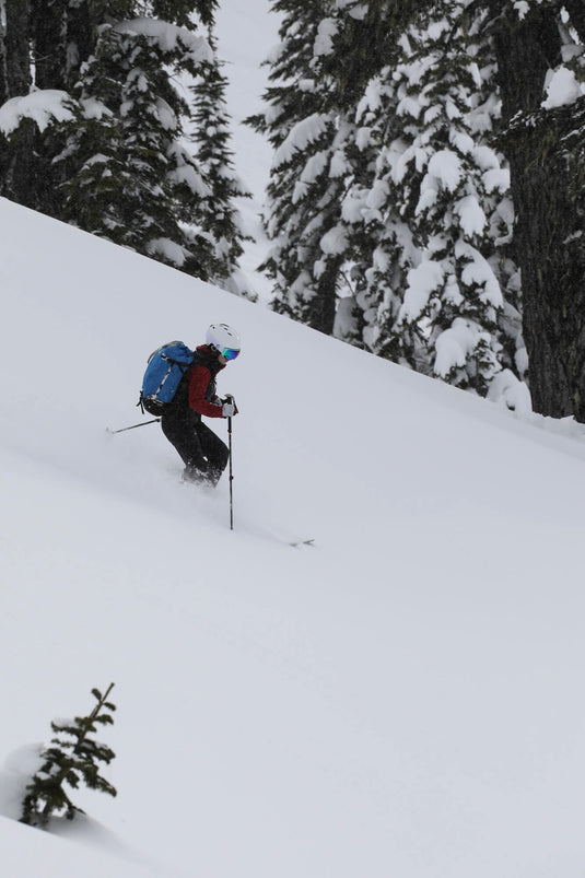 Person skiing through a snowy forest with trees covered in snow.